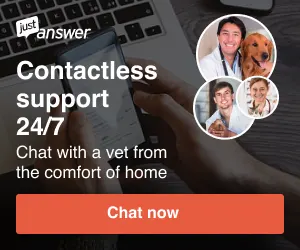 Pet Vet